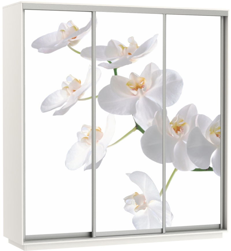 Фото Шкаф-купе Экспресс Трио Фото (2,4х0,6х2,4 - 3 двери) в Крыму по цене 63 870 ₽ от производителя Мебельная компания Е1, код товара  шт Фото Шкаф-купе Экспресс Трио Фото (2,4х0,6х2,4 - 3 двери) от производителя Мебельная компания Е1 в Крыму по цене 63 870 ₽